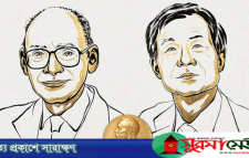 ‘অণুর দর্পণ’ রহস্য ভেদে রসায়নে নোবেল পেলেন দুই বিজ্ঞানী