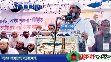 দেশকে দলীয়করণ করা হয়েছে, সর্বত্র সিন্ডিকেটের দৌরাত্ম্য: সিলেটে মামুনুল হক