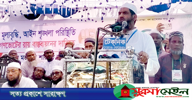 দেশকে দলীয়করণ করা হয়েছে, সর্বত্র সিন্ডিকেটের দৌরাত্ম্য: সিলেটে মামুনুল হক
