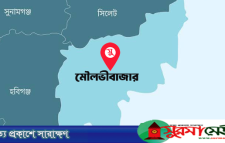 বড়লেখায় ৯০ টাকা নিয়ে কথা-কাটাকাটি, রডের আঘাতে দরজির মৃত্যু