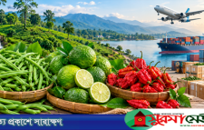 ৩৮৭ কোটির প্রকল্প: সিলেটের কৃষিপণ্য রপ্তানিতে খুলছে নতুন দুয়ার