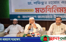 বিবেকবান বিরোধী দল হিসেবে ভূমিকা পালন করতে চায় জামায়াত: শফিকুর রহমান