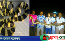 শ্রীমঙ্গলে লোকালয়ে অজগর ও বিপন্ন শঙ্খিনী সাপ উদ্ধার