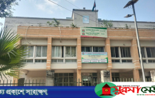 ঠাকুরগাঁও-১ উপনির্বাচন: প্রতীক পেলেন ৫ প্রার্থী, শুরু প্রচারণা