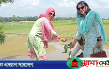 কানাইঘাট স্টেডিয়ামে চেয়ার স্থাপন ও বৃক্ষরোপন